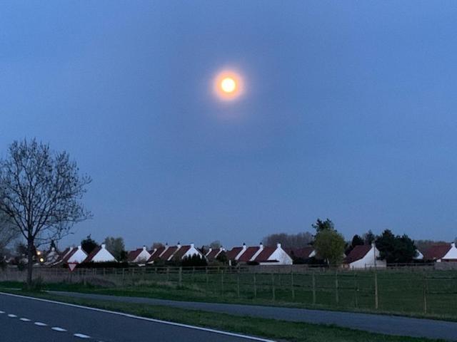 Holiday home Duinendaele 232 Met Sauna Bij Plopsaland En Natuurreservaat *
