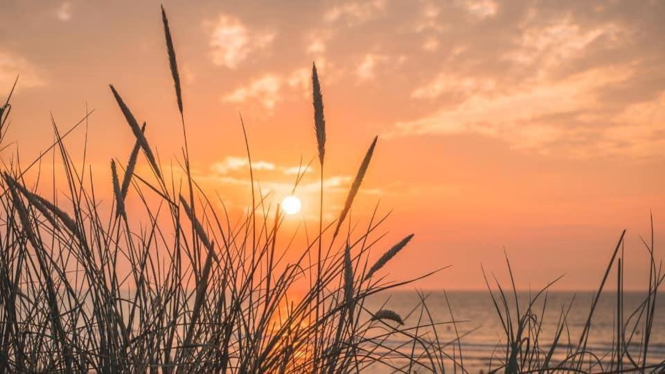 Duinendaele 232 Met Sauna Bij Plopsaland En Natuurreservaat * De Panne